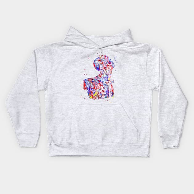 Human anatomy, human body, torso Kids Hoodie by RosaliArt